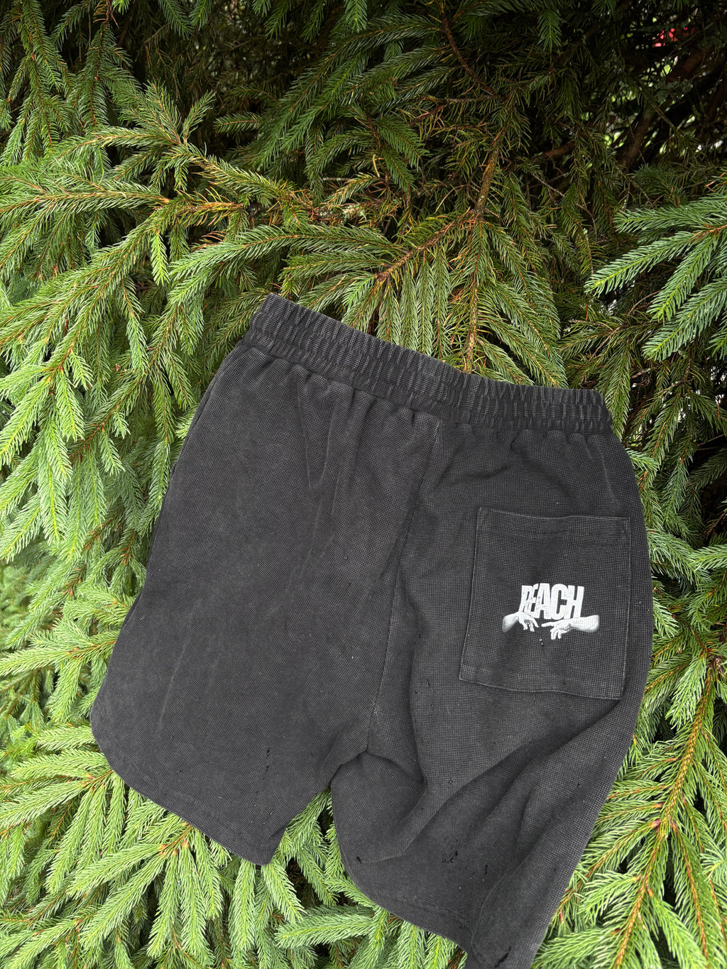 Reach shorts