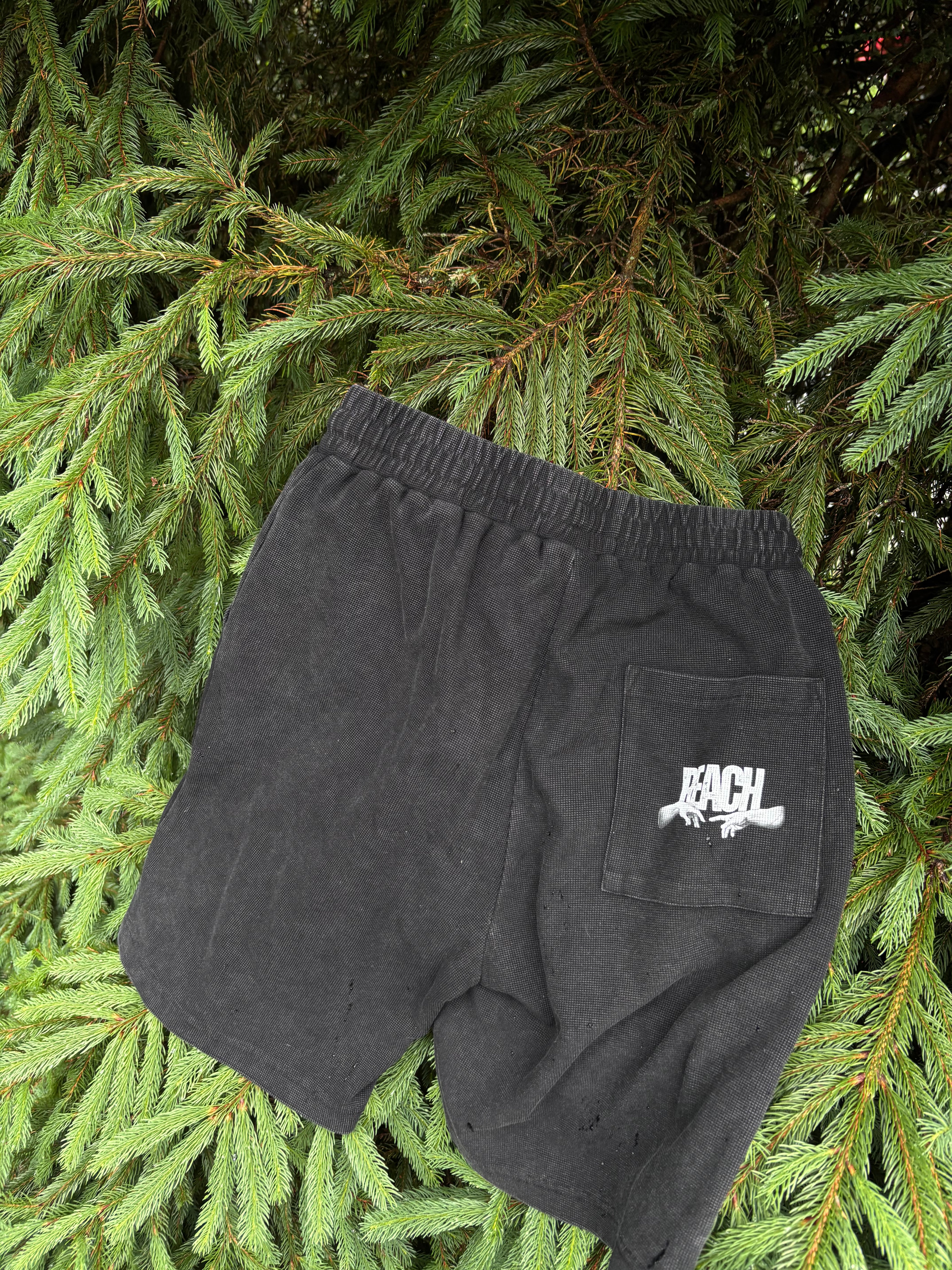 Reach shorts